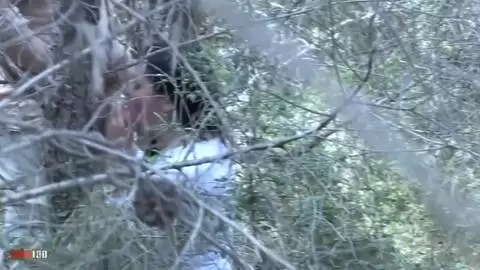 Voyeur clip of a girl blowing her BF in the forest